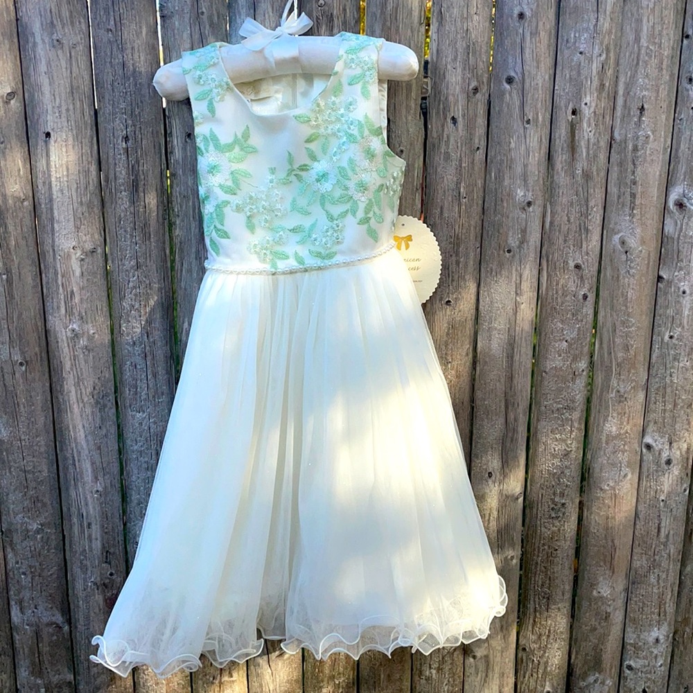 NWT Girls size 4T American Princess dress